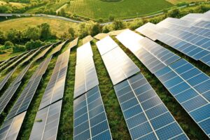 solar panel array